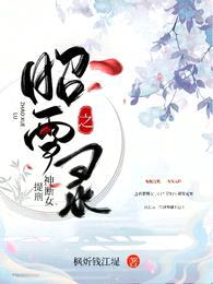 昭雪录之神断女提刑